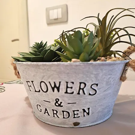 Pool View Palm 002 * Vlorë