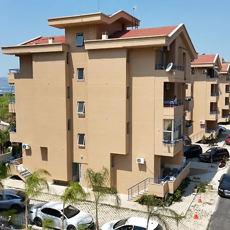 Pool View Palm 002 *