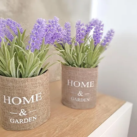 Pool View Palm 002 Lägenhet *