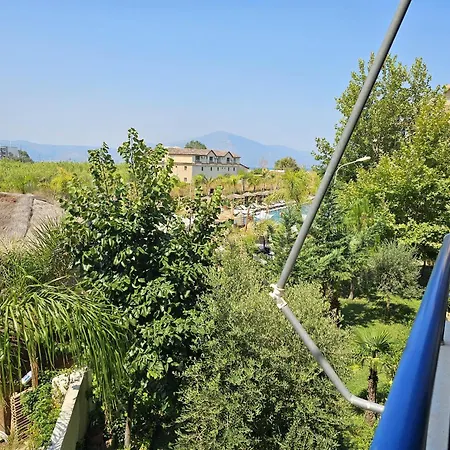 Pool View Palm 002 Daire