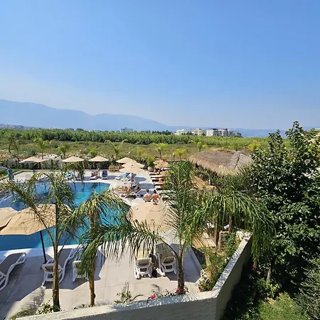 Pool View Palm 002