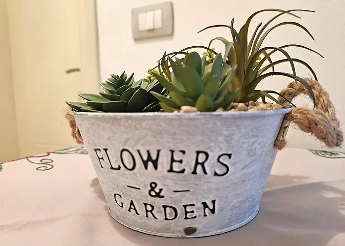 Pool View Palm 002 * Vlorë