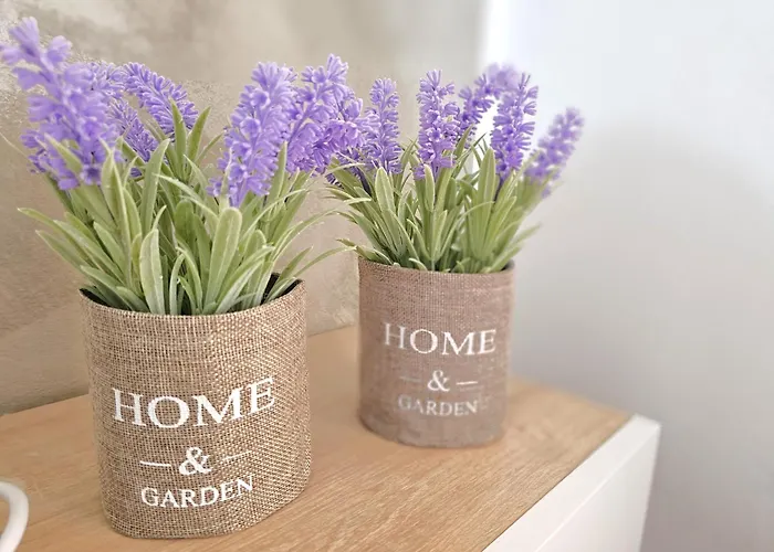 Pool View Palm 002 Appartement *